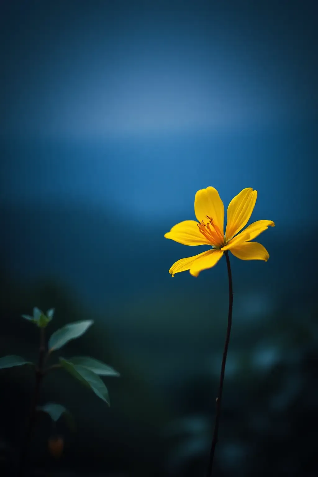 作品 - photograrhy