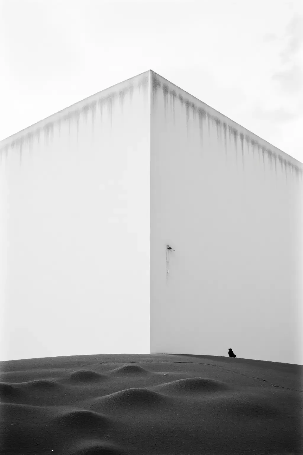 作品 - photograrhy