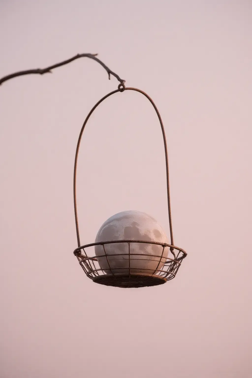 作品 - photograrhy