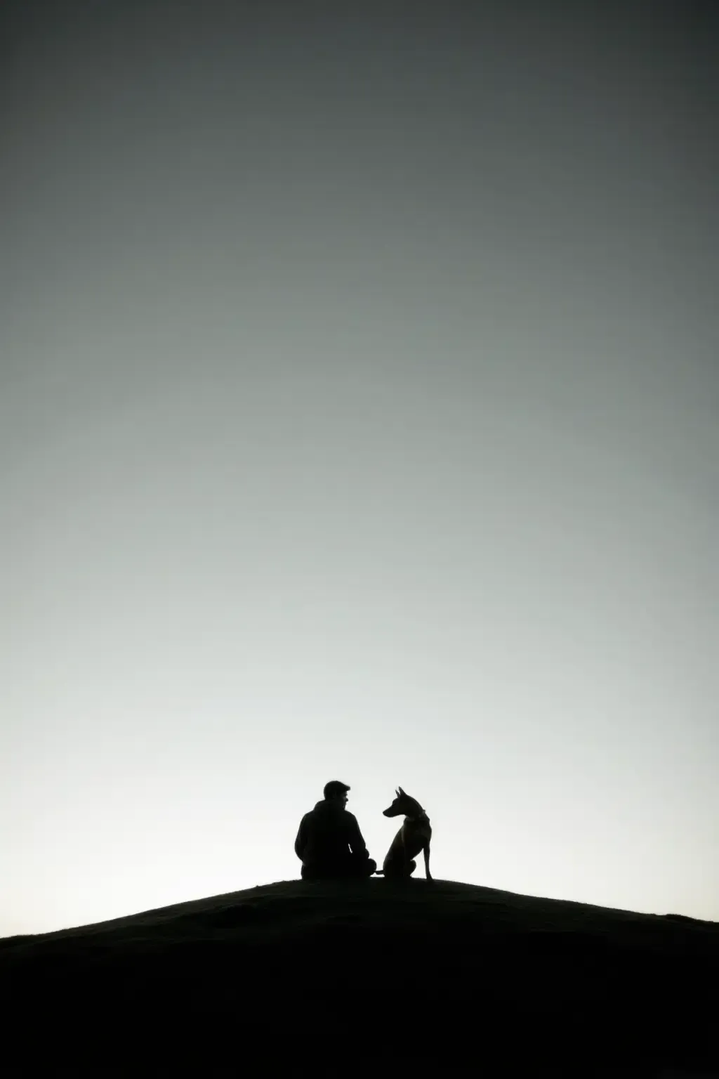 作品 - photograrhy