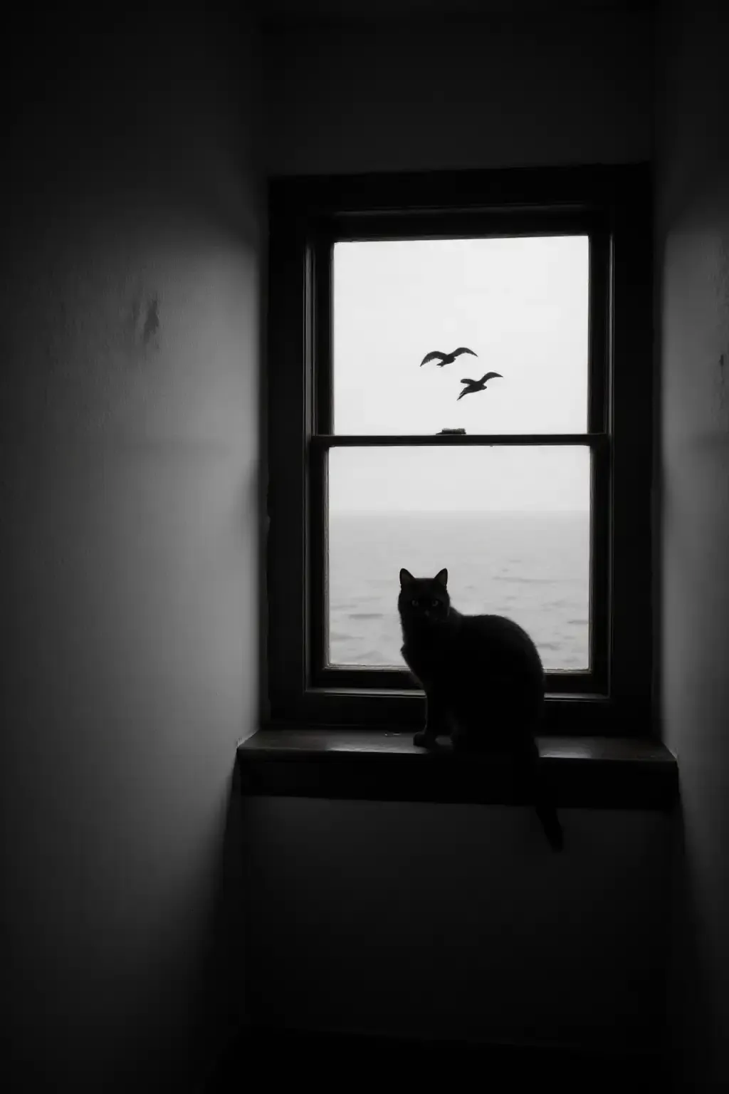 作品 - photograrhy