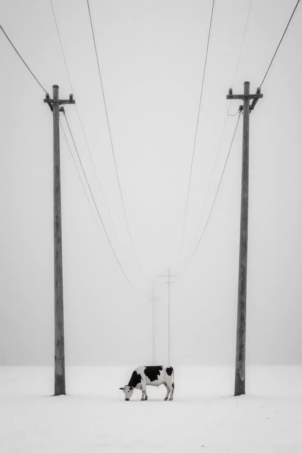 作品 - photograrhy