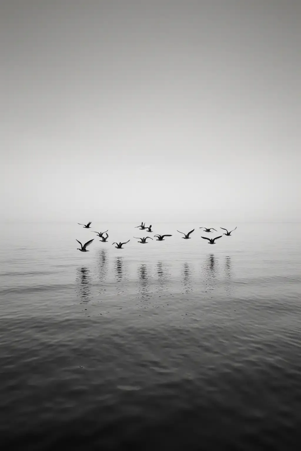 作品 - photograrhy
