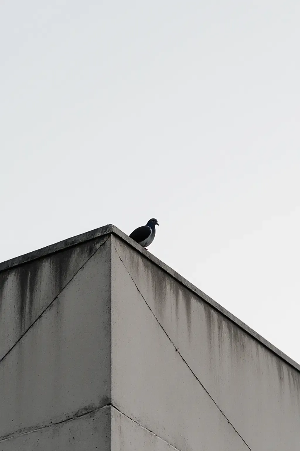 作品 - photograrhy