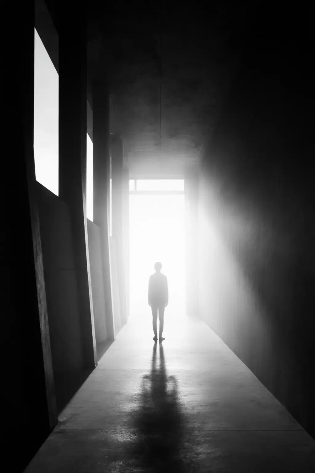 作品 - photograrhy