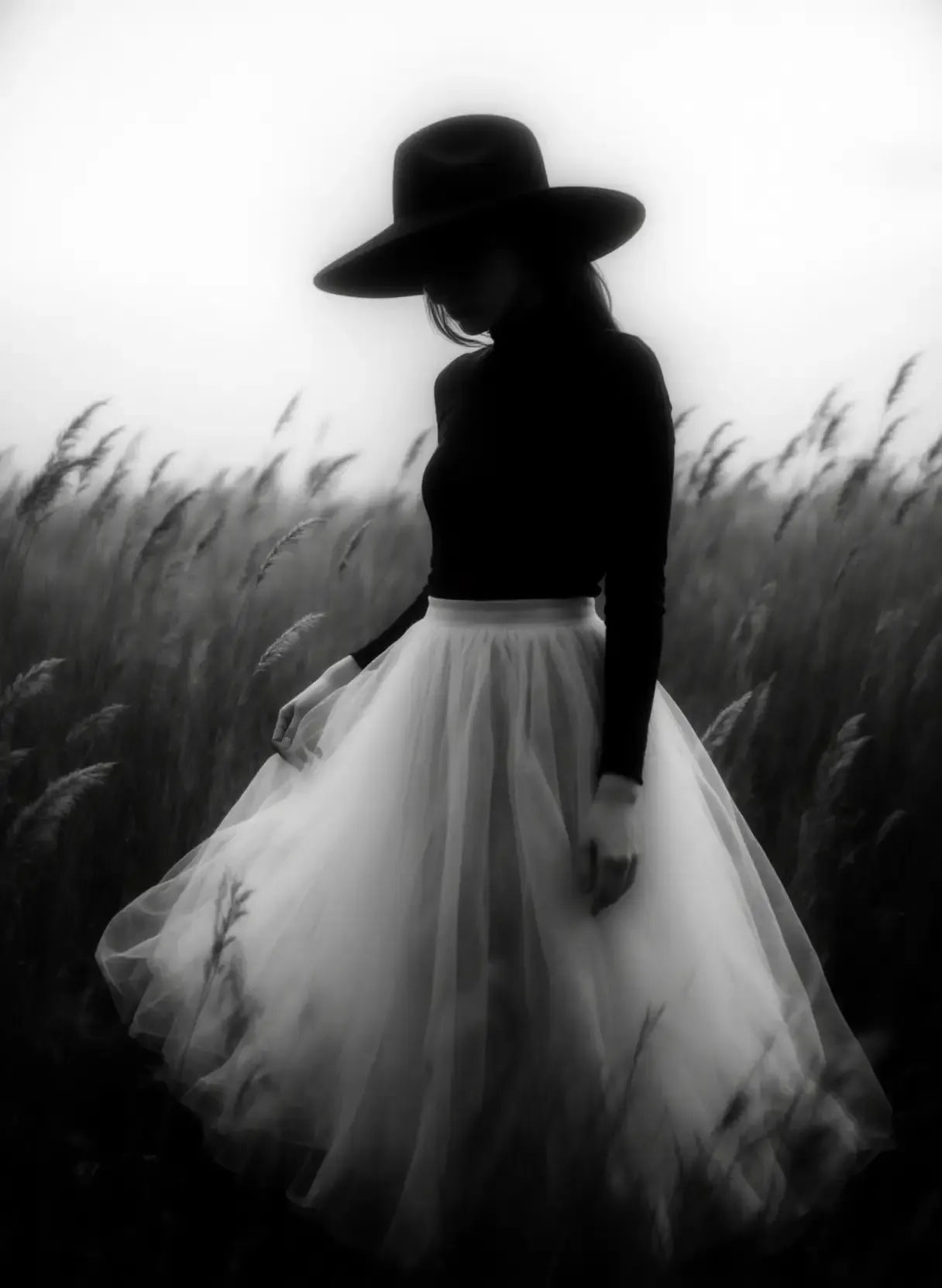 作品 - photograrhy